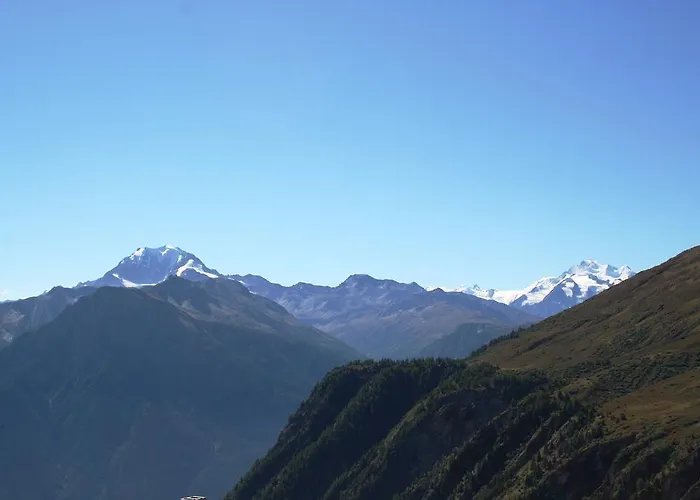 Malva Belalp